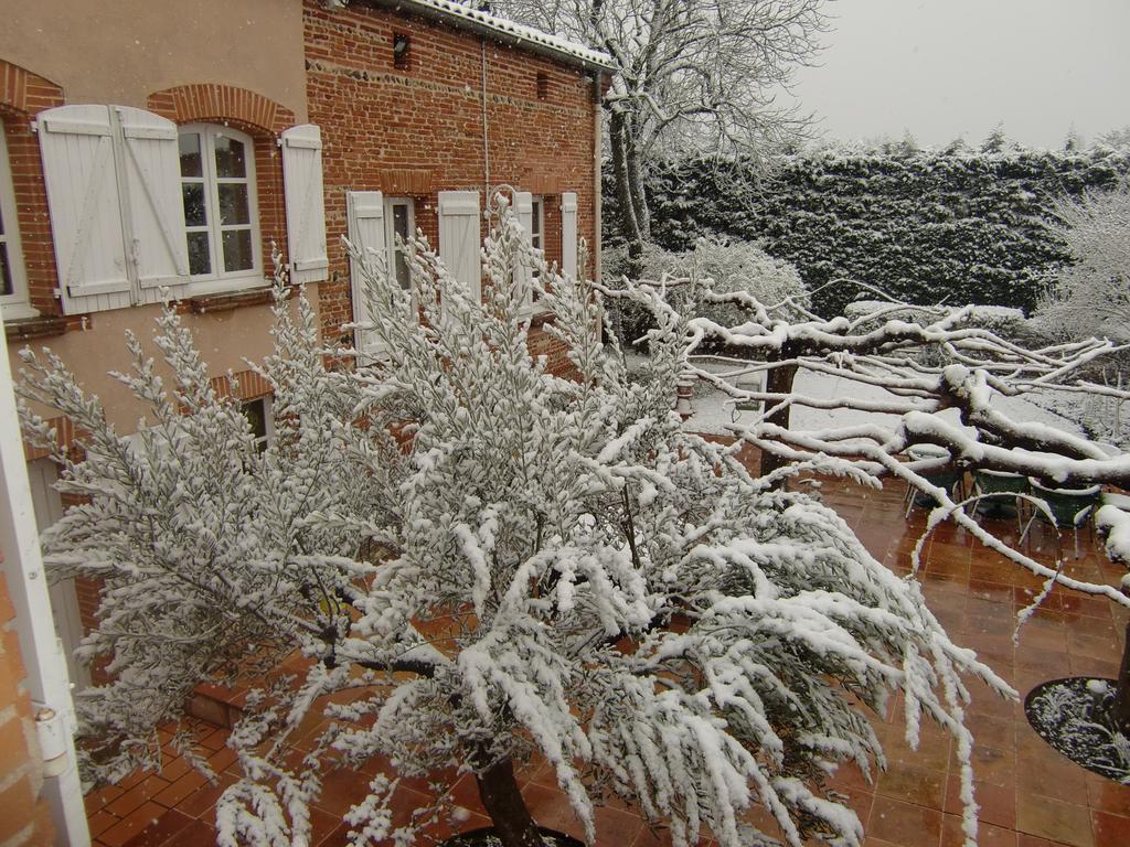 La Villa Des Violettes Toulouse Exterior photo