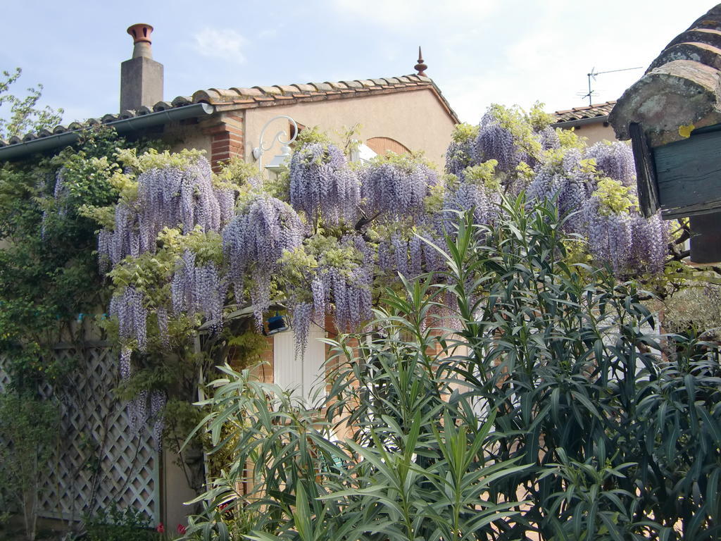 La Villa Des Violettes Toulouse Exterior photo