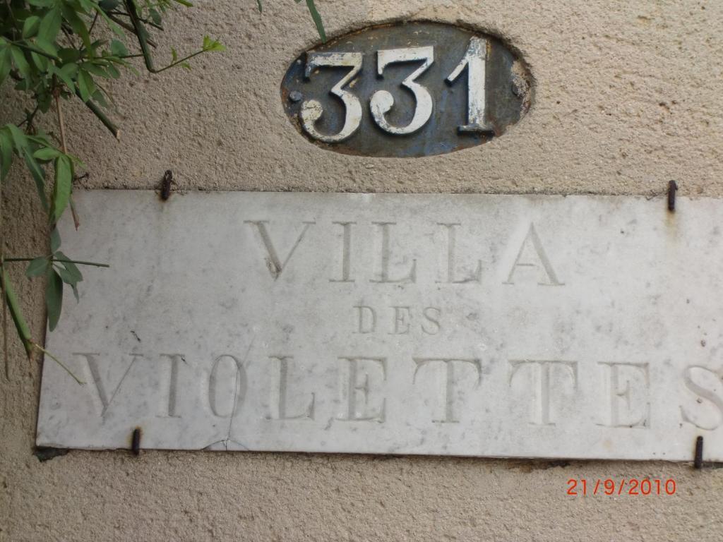 La Villa Des Violettes Toulouse Exterior photo